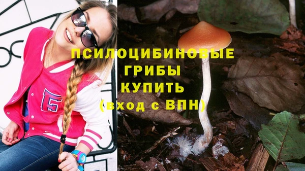 COCAINE Каменногорск