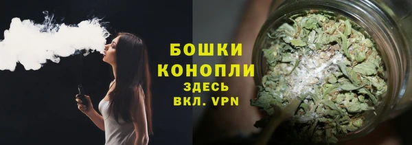 стаф Карталы