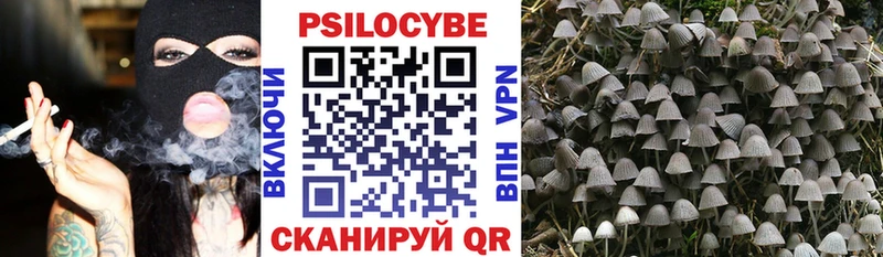 хочу наркоту  Камызяк  Галлюциногенные грибы мухоморы 
